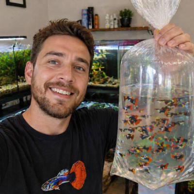 ChatGPT Image Apr 26, 2026, 03_07_56 PM