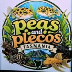 fish pack to Tasmania