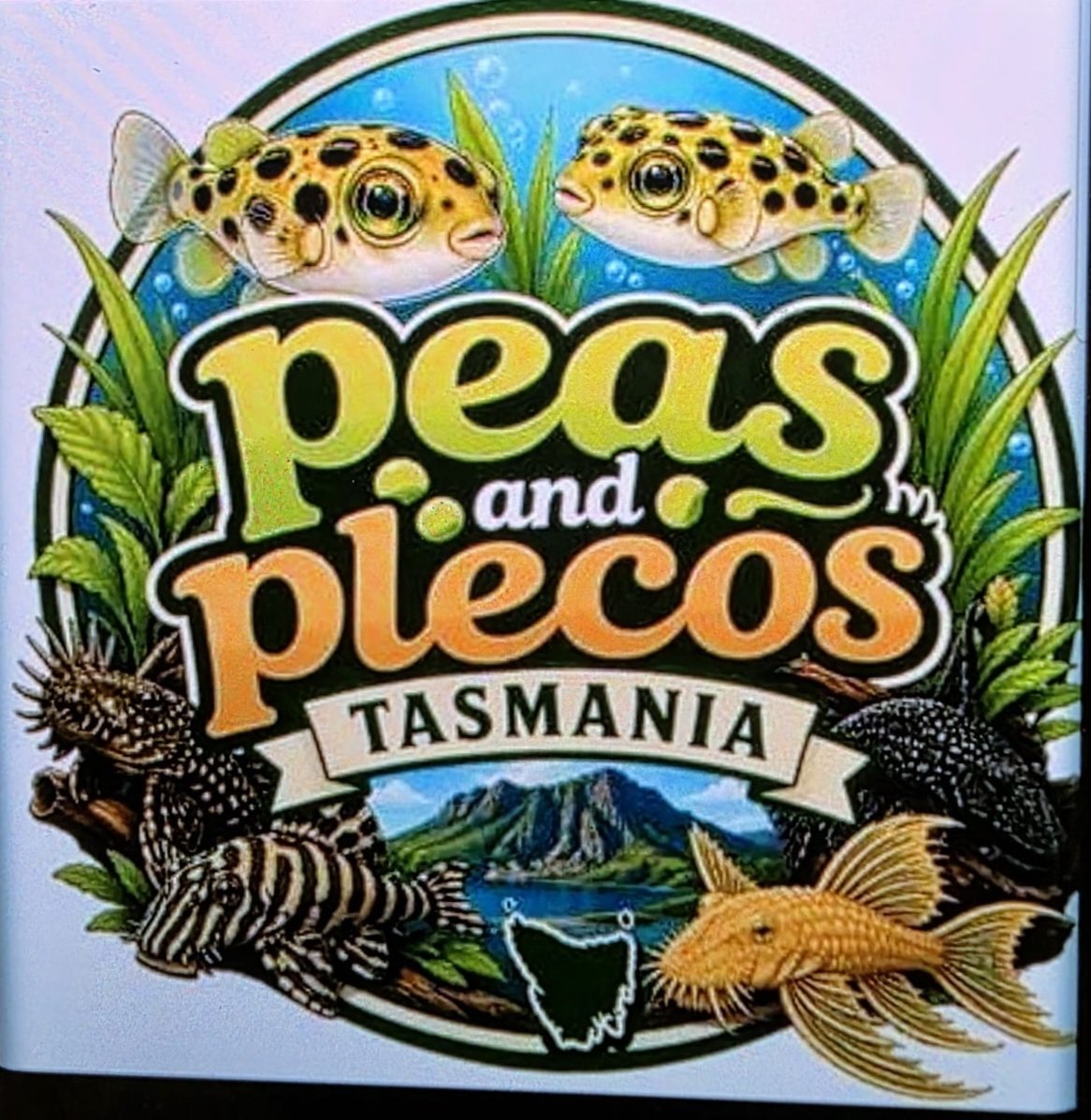 2026/06/1000043861.jpg fish pack to Tasmania - Image 1